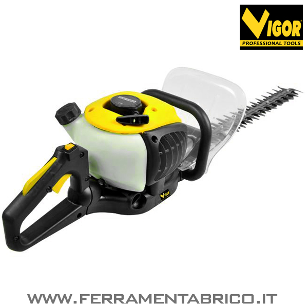 Tagliasiepi vigor Tagliasiepi vigor